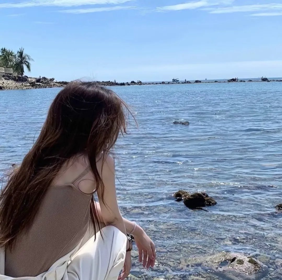 傲骨贤妻第六季